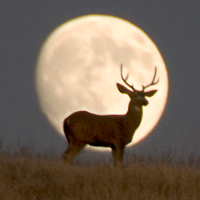 canvas prints & fine art photography