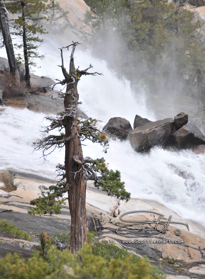 Yosemite Photos                                                                        This image is available for purchase in print with or without framing, in gallery canvas or digital format. If you are interested, please include the file name(s) in an email.                                               Please just ask... 
