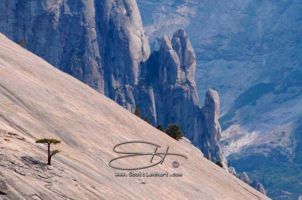 Yosemite Photos                                                                        This image is available for purchase in print with or without framing, in gallery canvas or digital format. If you are interested, please include the file name(s) in an email.                                               Please just ask... 