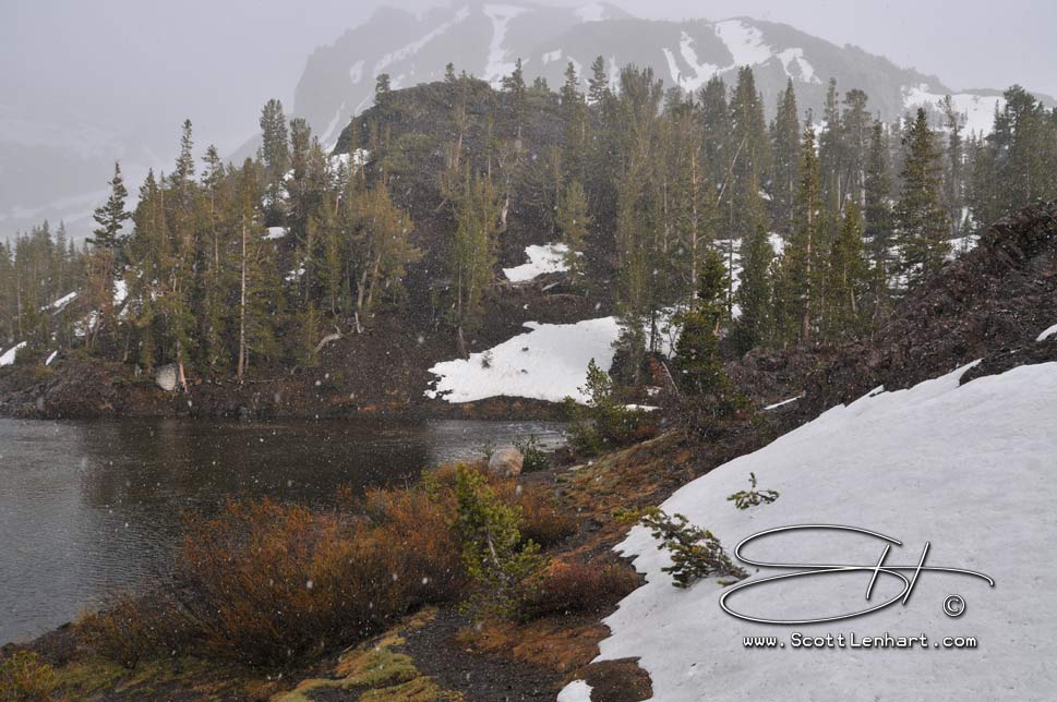 Yosemite Photos                                                                        This image is available for purchase in print with or without framing, in gallery canvas or digital format. If you are interested, please include the file name(s) in an email.                                               Please just ask... 